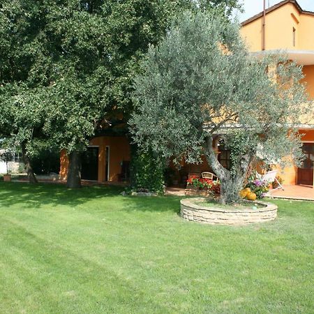 Sossa Apartments Umag Exterior photo